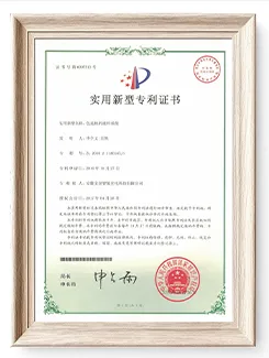 Wenyao Color Sorter Certifications