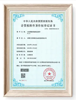 Wenyao Color Sorter Certifications