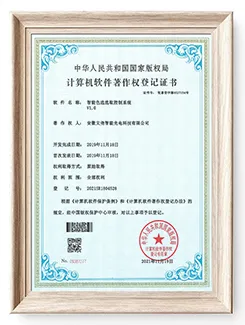 Wenyao Color Sorter Certifications