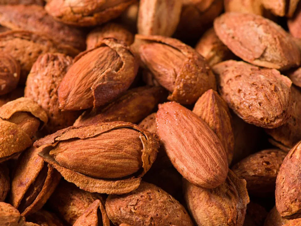 Almond Red Melon Seed Color Sorter