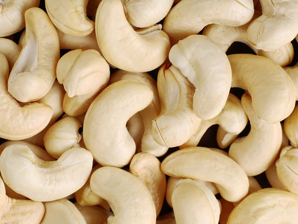 Cashew Nut Color Sorter