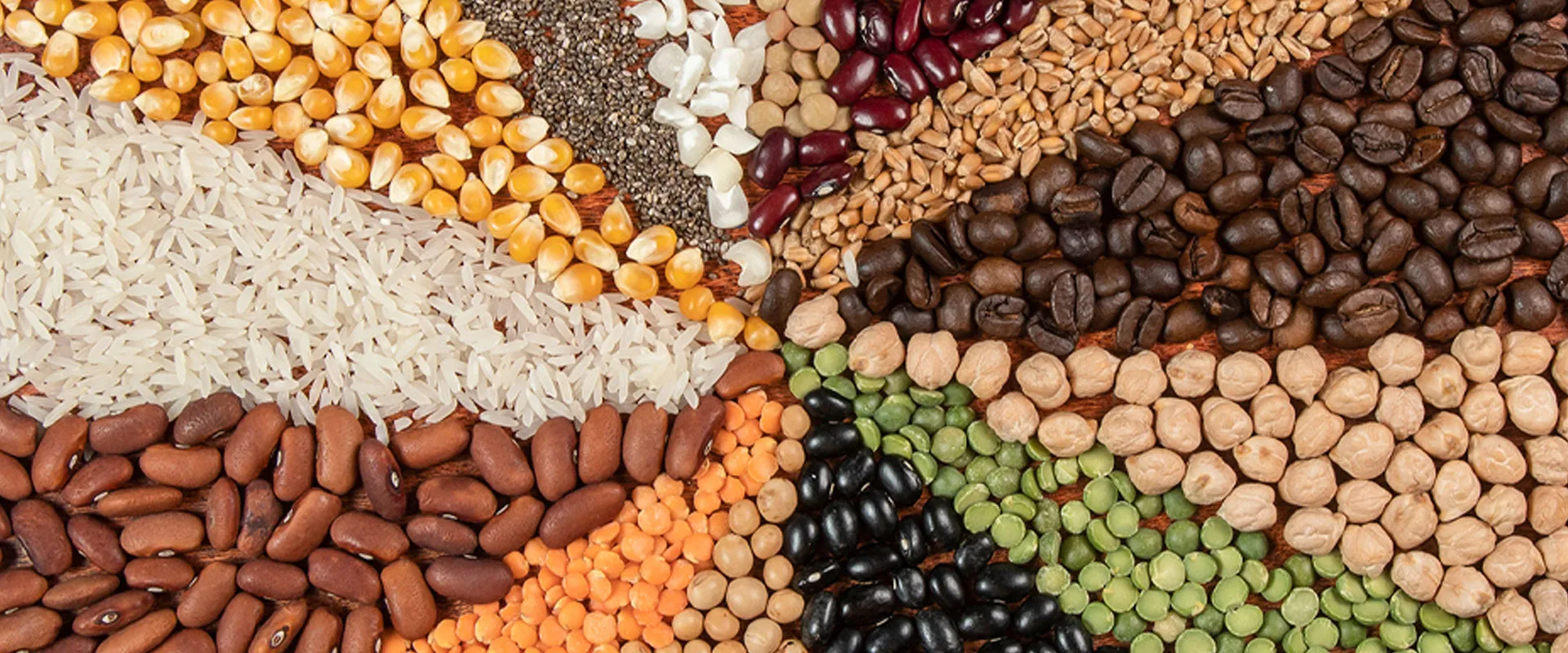 Wenyao Industrial Grain Color Sorter: Enhance Purity & Quality Control