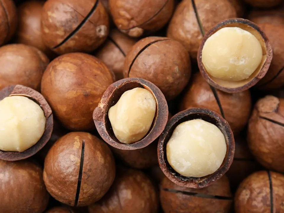 Macadamia Color Sorter