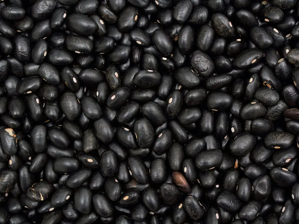 Black Soybean Color Sorter