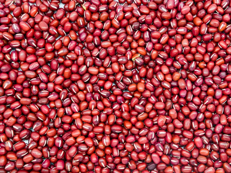 Red Bean Color Sorter