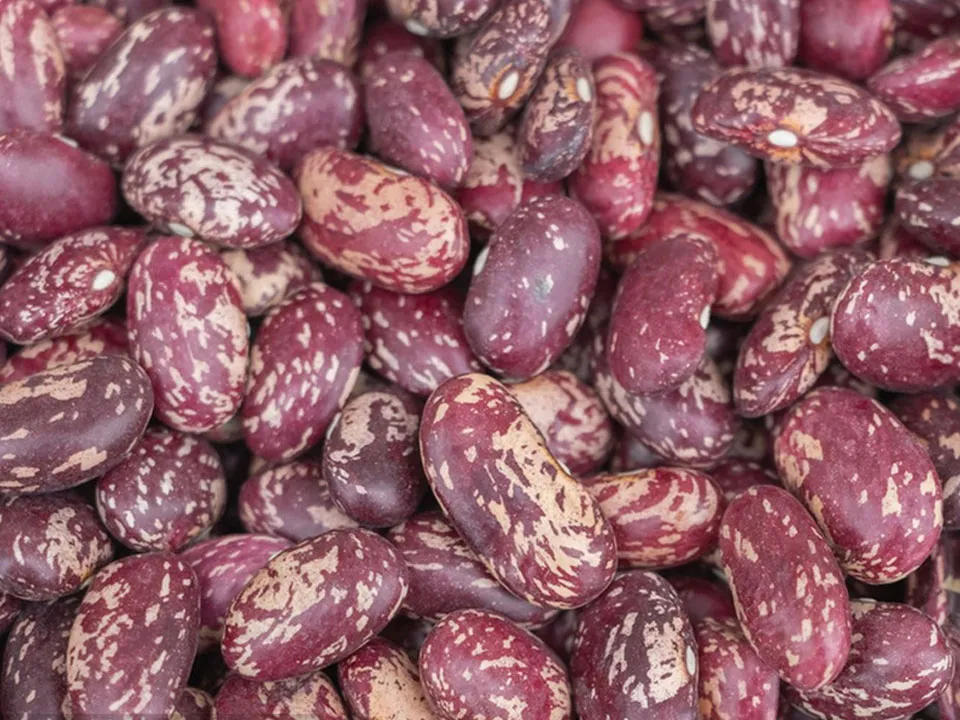 Red Speckled Bean Color Sorter