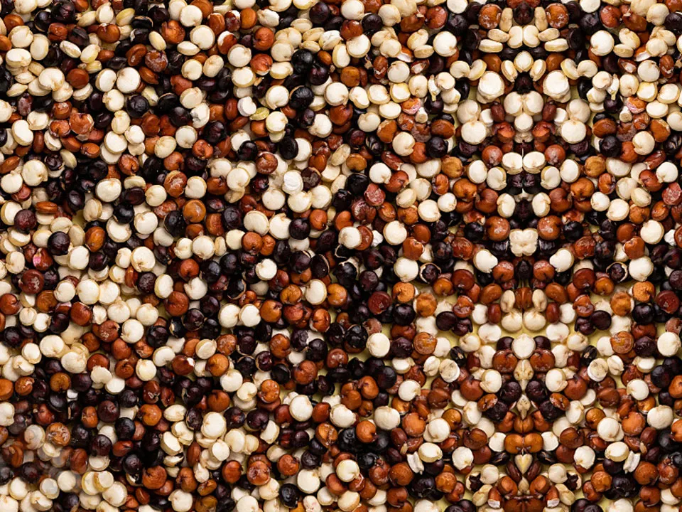 Quinoa Color Sorter