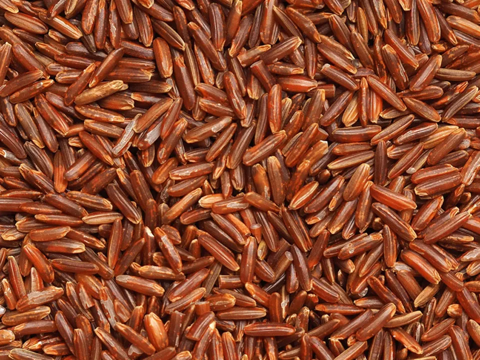 Red Rice Color Sorter