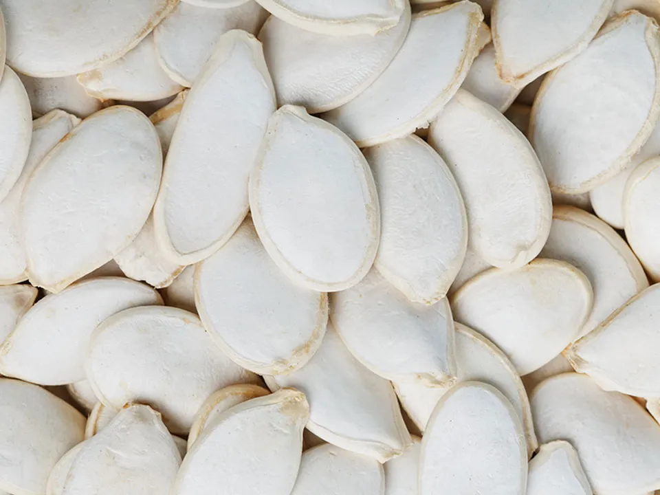 Pumpkin Seed Color Sorter