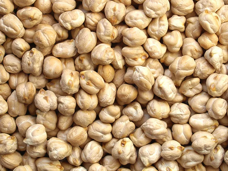 Chickpea Color Sorter