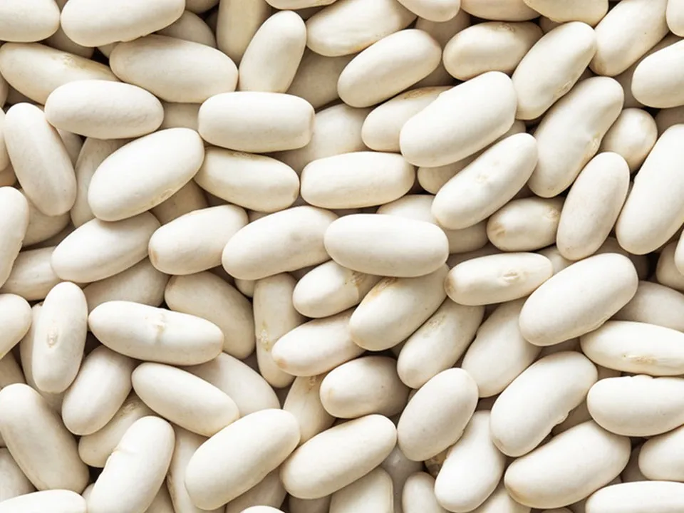 White Bean Color Sorter