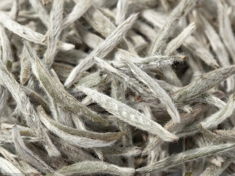 White Tea Color Sorter