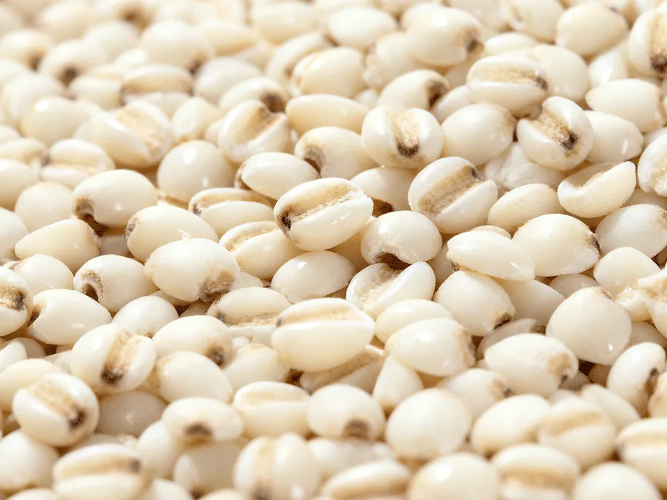 Myotonin Color Sorter