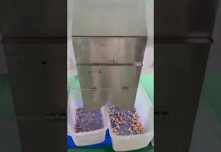 Cardamom Sorting Process