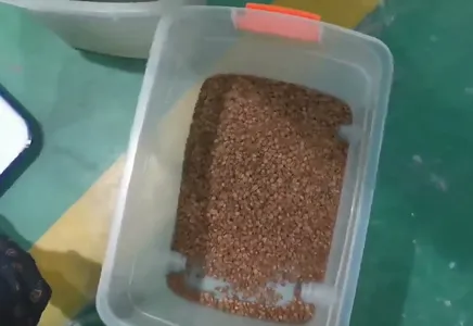 Coffee Bean Screening Process