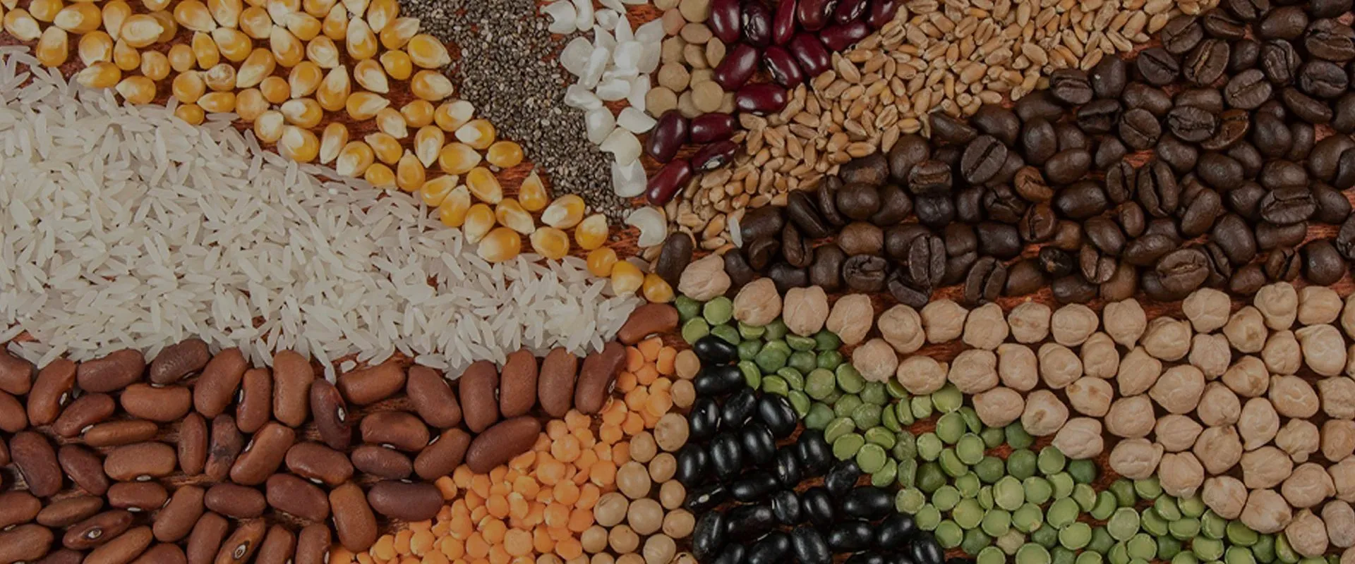 Where Wenyao Color Sorter Machines Made the Difference