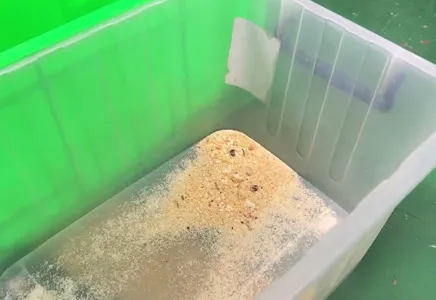 Powdered Milk Crystal Screening Process