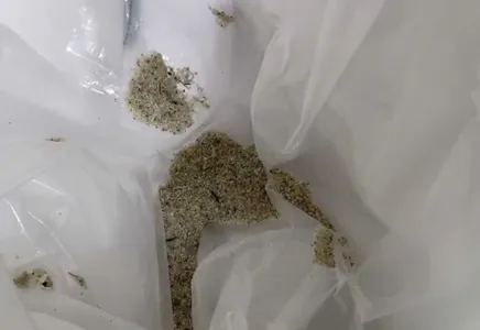 Rice Sorting Process in France