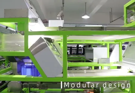 WENYAO Belt Color Sorter – Faster, Smarter, and More Efficient Sorting!