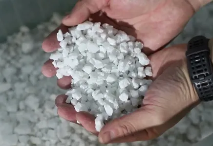 WENYAO Color Sorter in Action: Precision Redefined