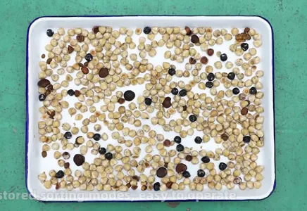 Wenyao Mini Color Sorter