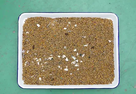 Wenyao Multifunctional Color Sorter