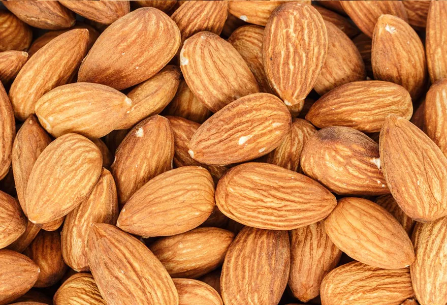 almond color sorter kinds