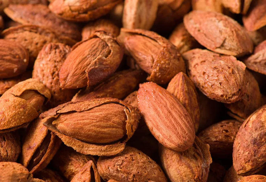 almondred melon seed color sorter kinds