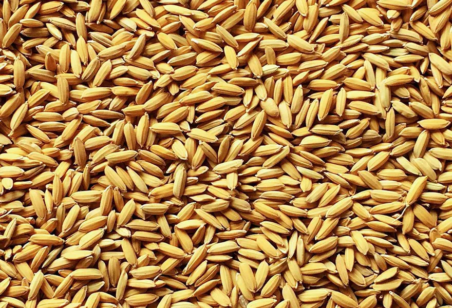 barley color sorter kinds