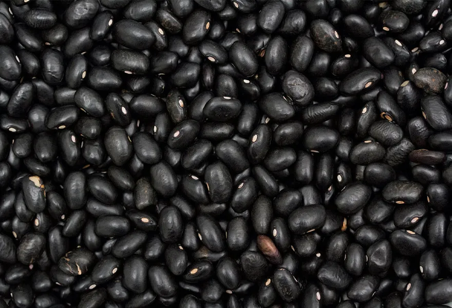 black soybean color sorter kinds