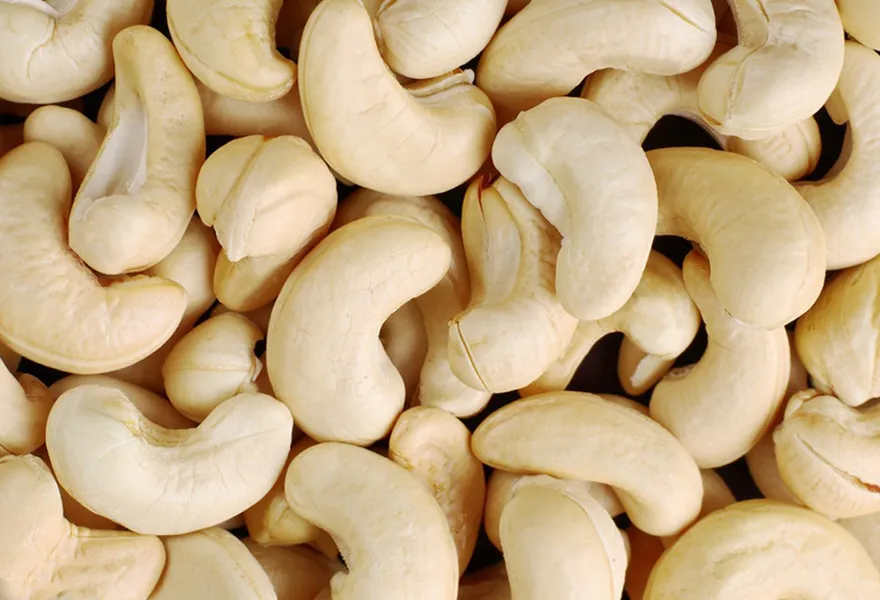 cashew nut color sorter kinds