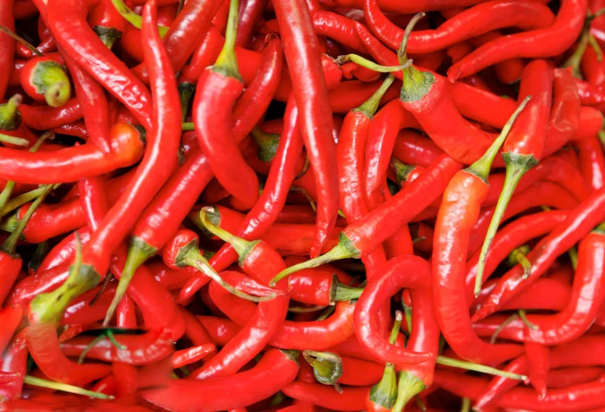 chili color sorter kinds