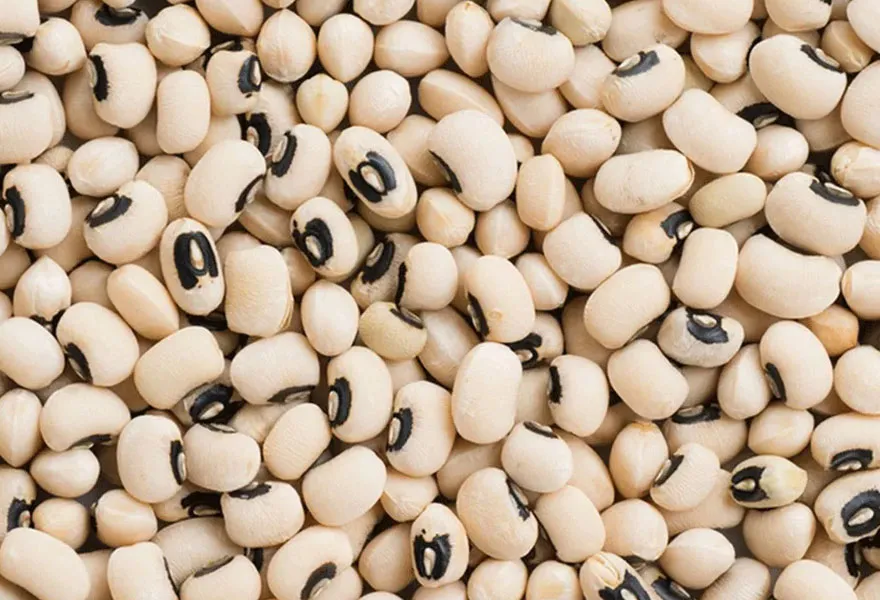 cowpea color sorter kinds