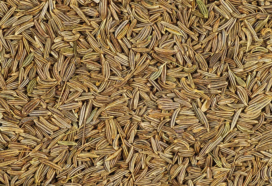 fennel color sorter kinds