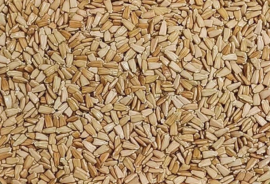 gourd seed color sorter kinds