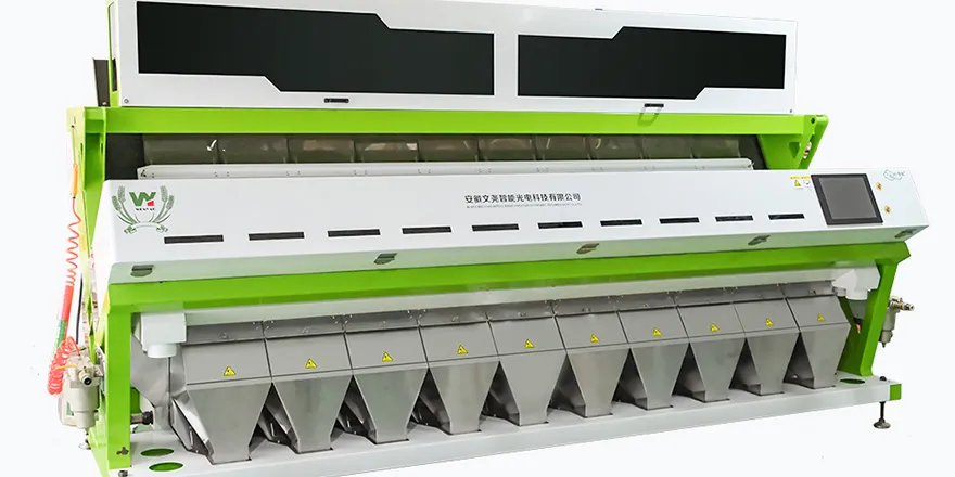 A Color Sorting Appointment Spanning Thousands of Miles Blossoms In Uzbekistan