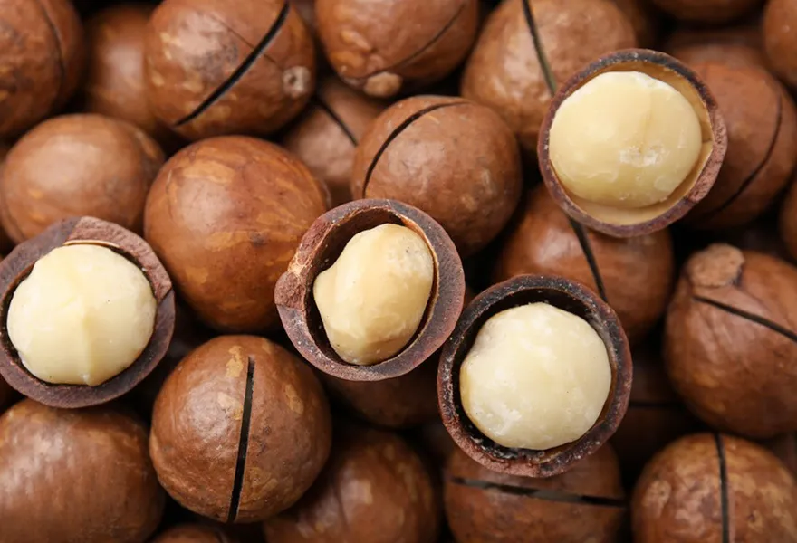 macadamia color sorter kinds