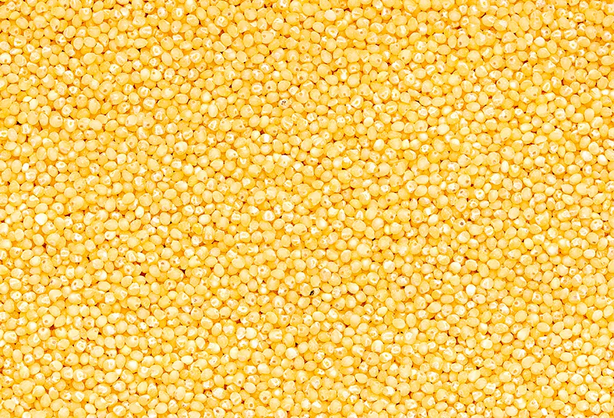 millet color sorter kinds