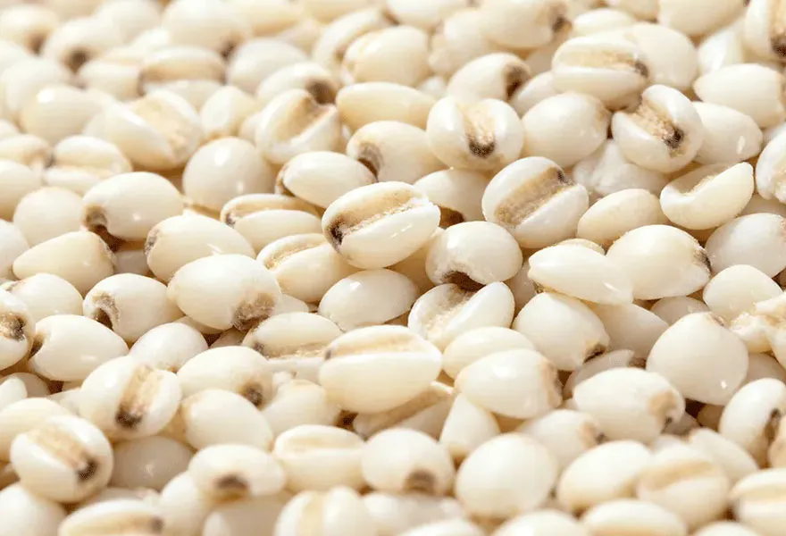 myotonin color sorter kinds