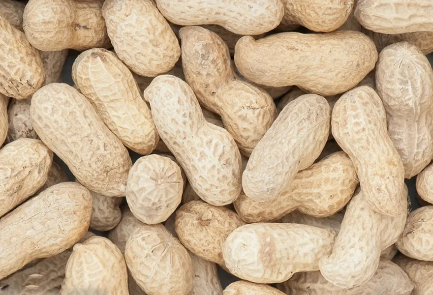 peanut color sorter kinds