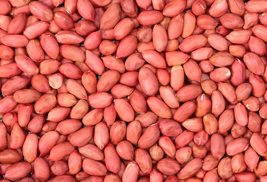 peanut kerne color sorter kinds