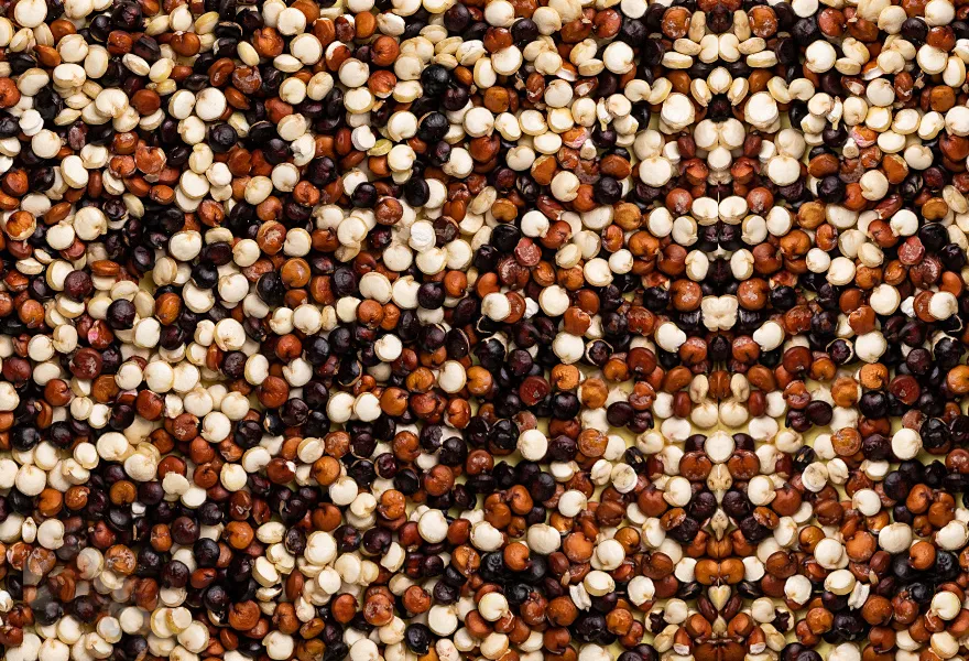 quinoa color sorter kinds