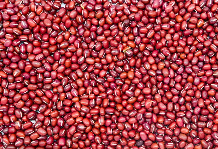 red bean color sorter kinds