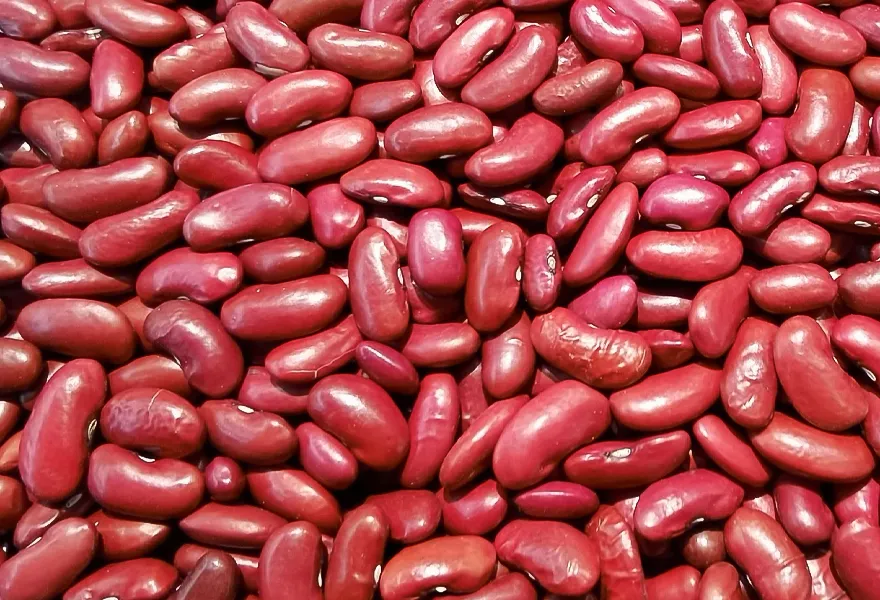 red kidney bean color sorter kinds