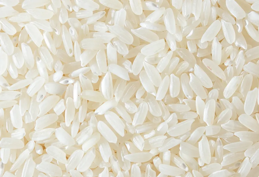 rice color sorter manufacturers