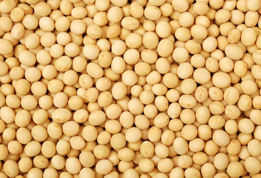 soybean color sorter kinds