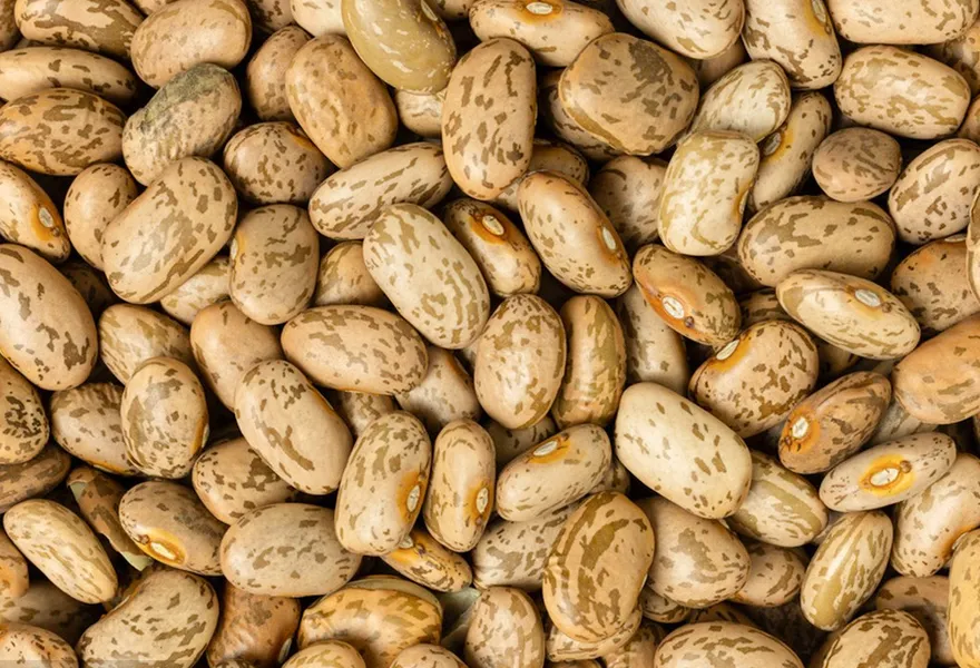 speckled bean color sorter kinds