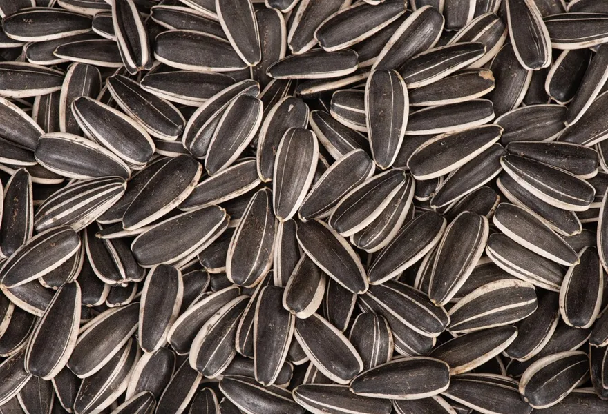 sunfl color sorter kinds