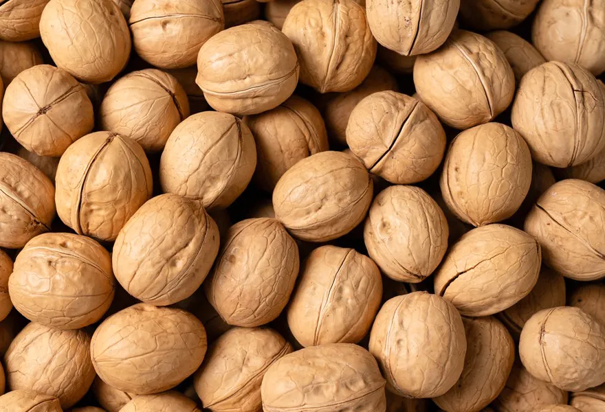 walnut color sorter kinds