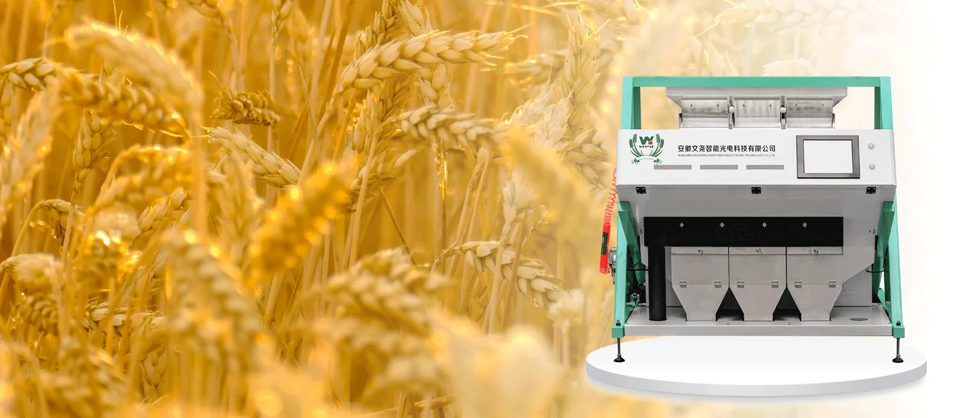 Color Sorter Machines Driving Real Business Results